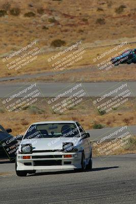 media/Feb-22-2025-Team Topak Racing (Sat) [[cb57a51a40]]/86 Party Brigade/Turns 13 and 14/